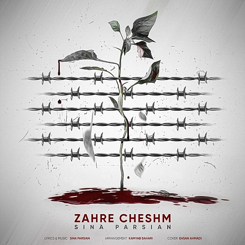 Cover artwork for Zahre Cheshm by Sina Parsian